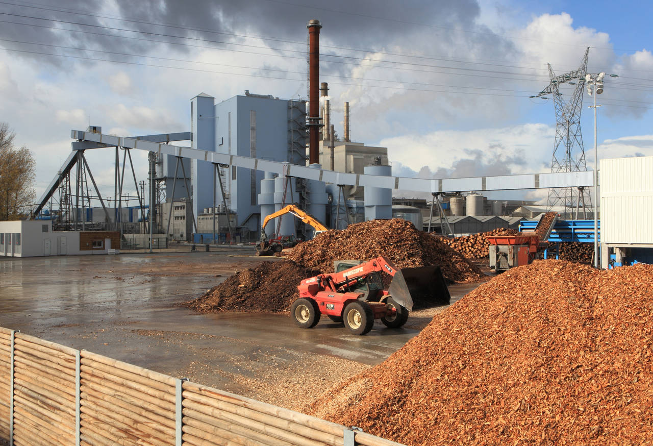 Biomasse e cogenerazione
