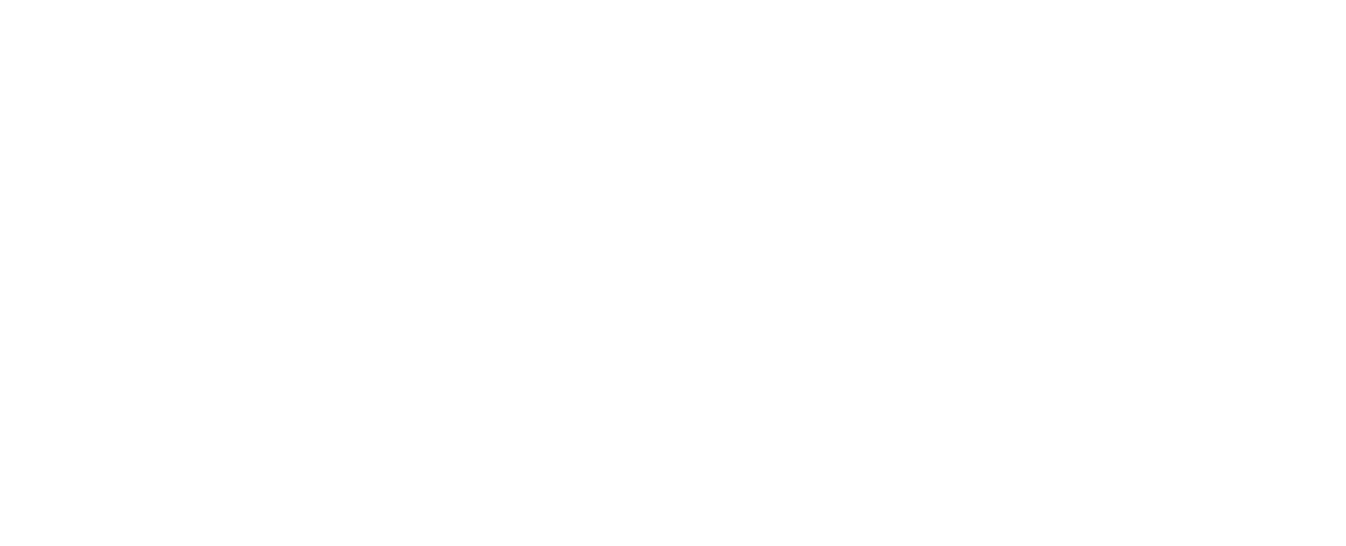 energy solution logo bianco