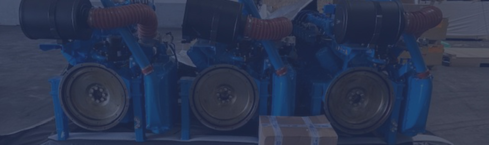 header vendita tedom