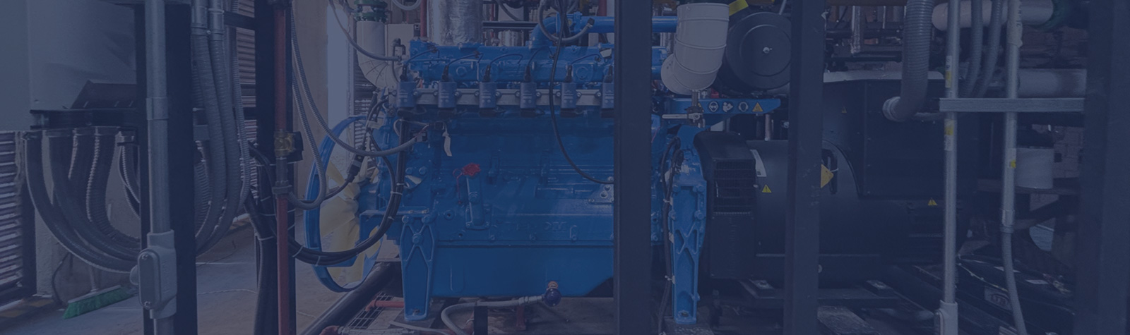 header tedom messico